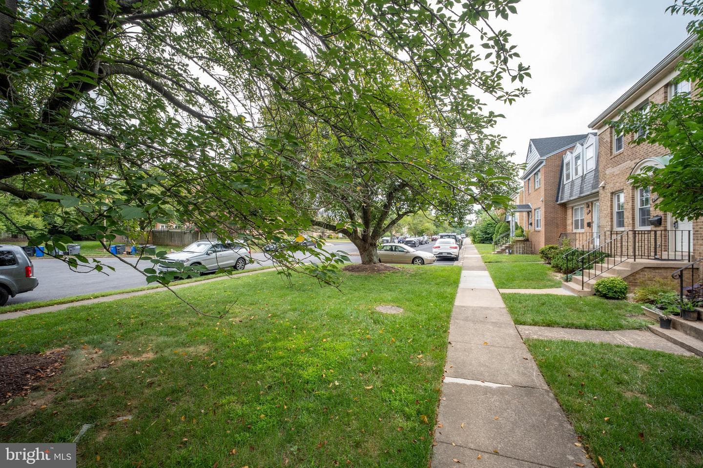 2992 Covington Street photo 3