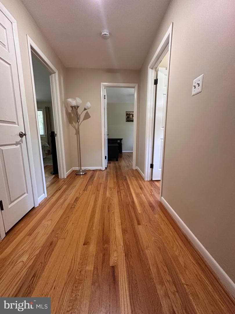 4314 Selkirk Drive photo 21