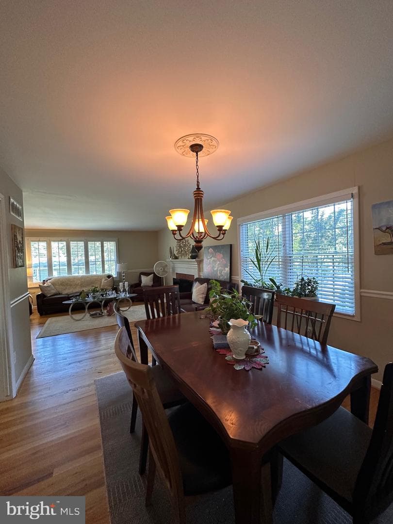4314 Selkirk Drive photo 3