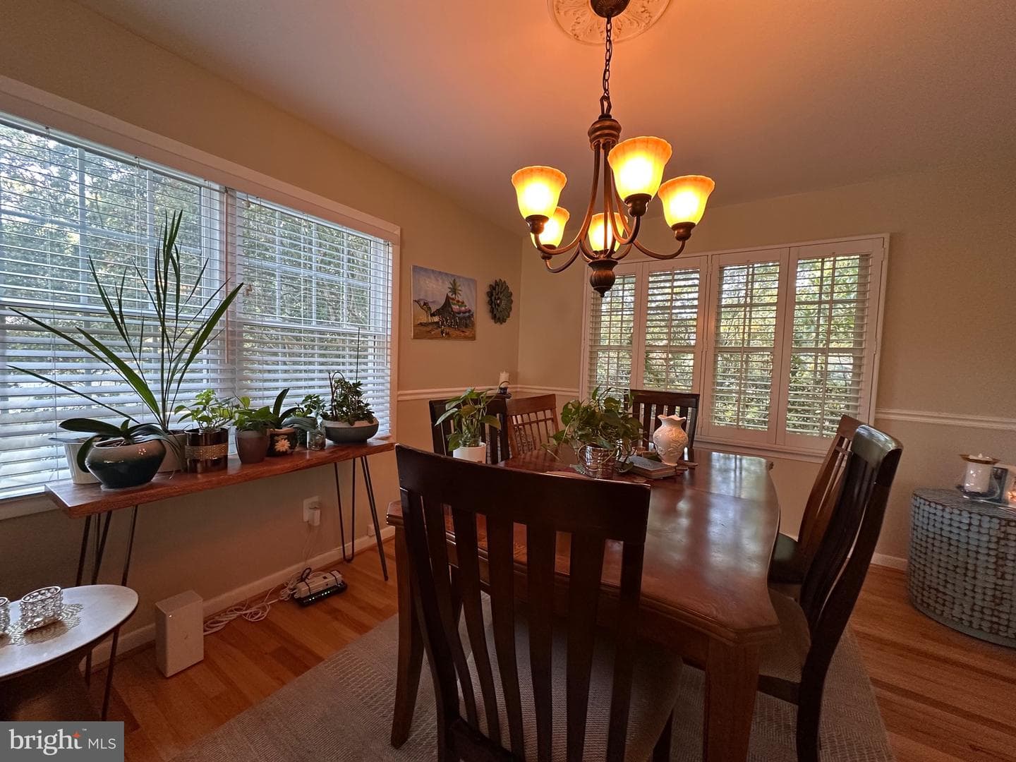 4314 Selkirk Drive photo 5