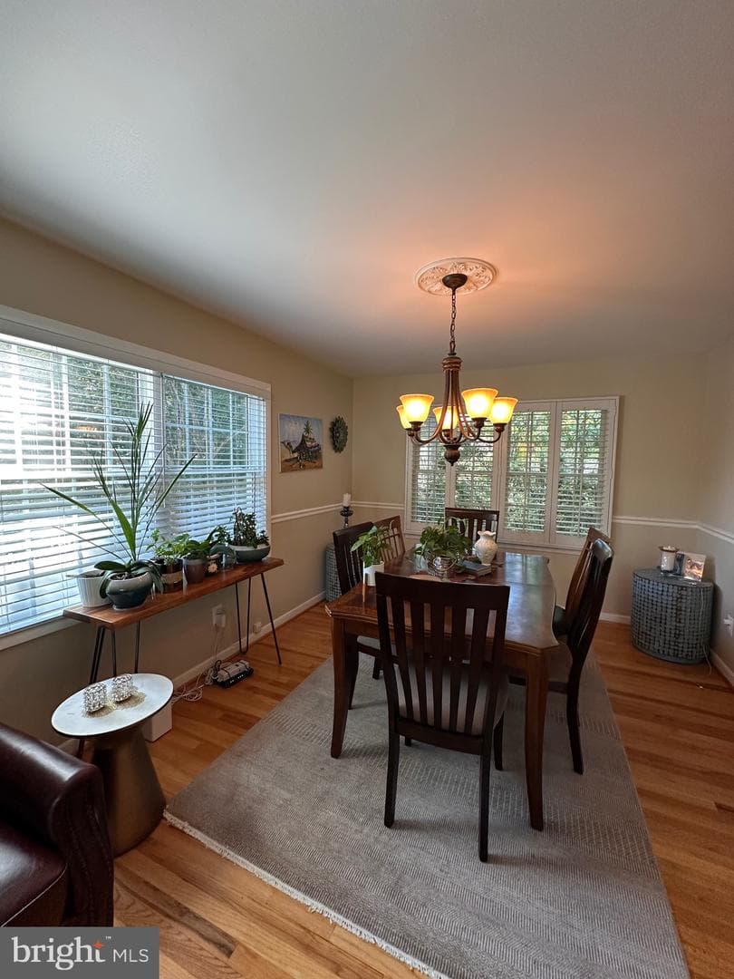 4314 Selkirk Drive photo 6
