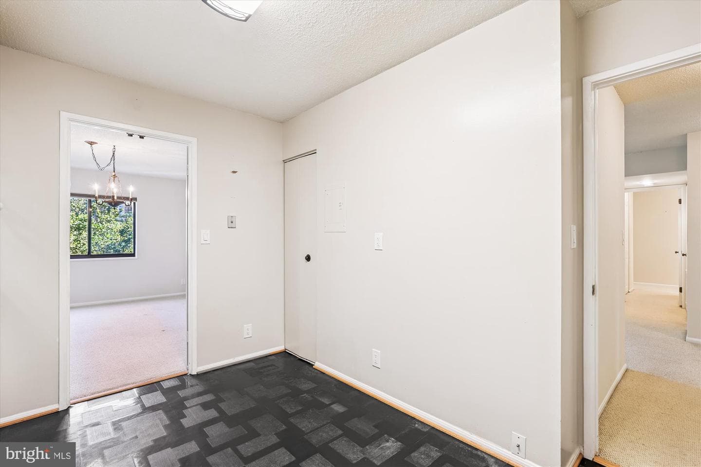 5901 Mount Eagle Drive #516 photo 12