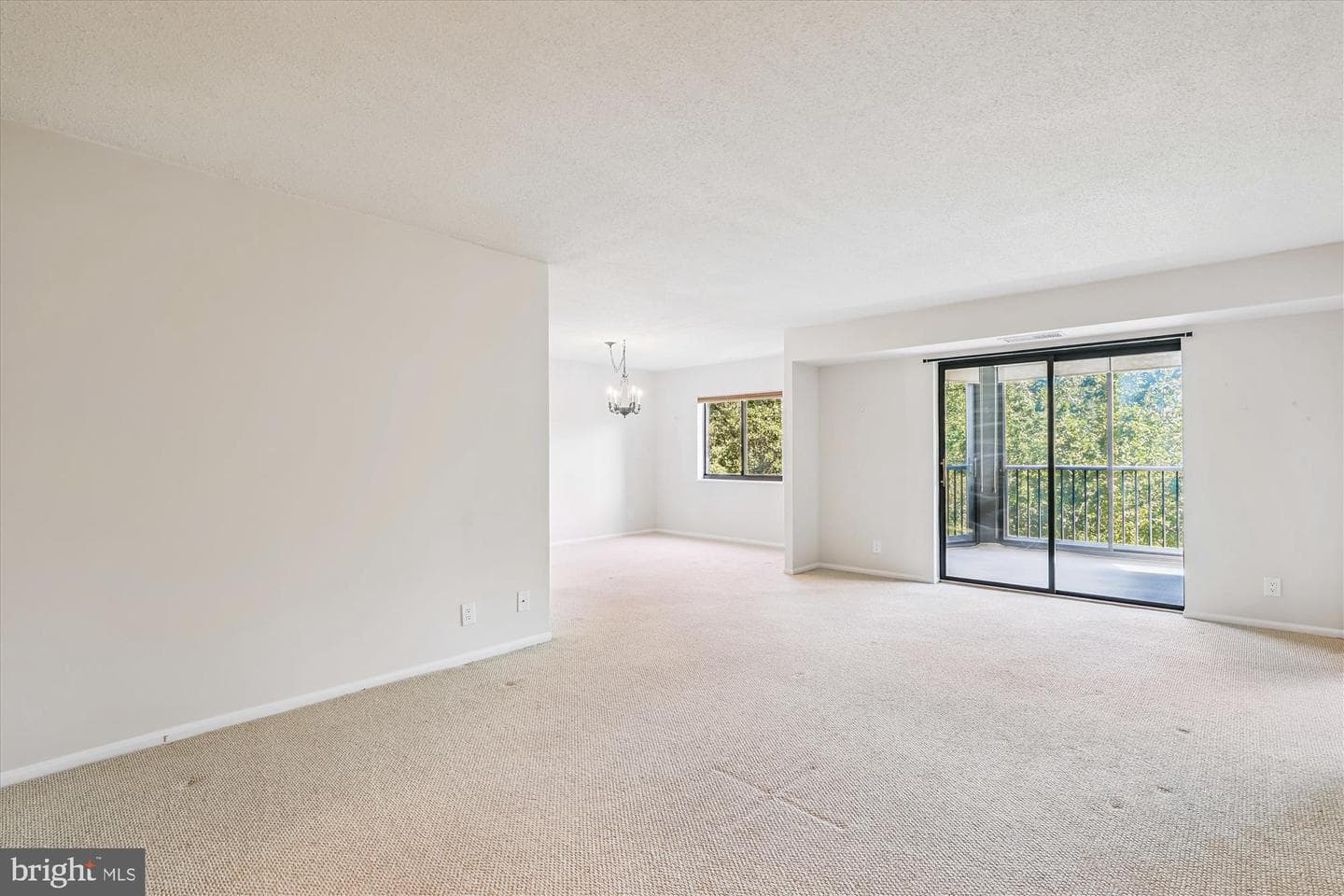 5901 Mount Eagle Drive #516 photo 17