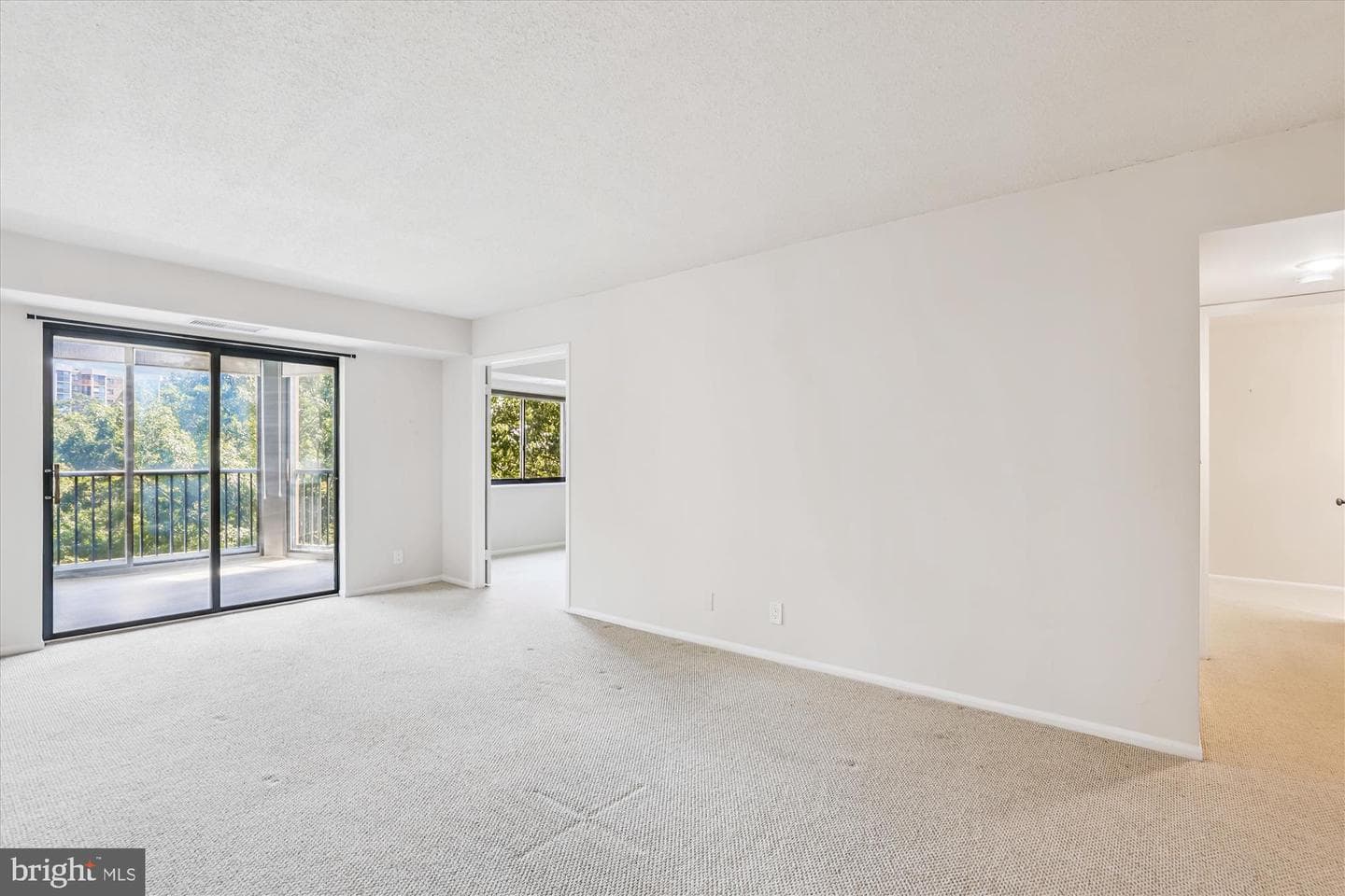 5901 Mount Eagle Drive #516 photo 18