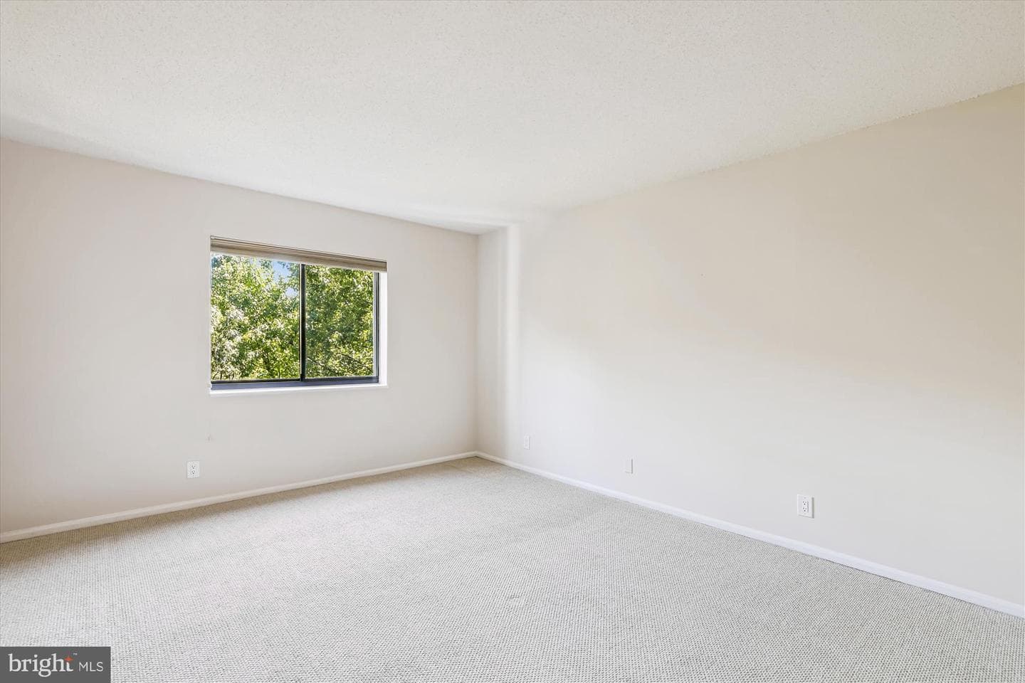 5901 Mount Eagle Drive #516 photo 21