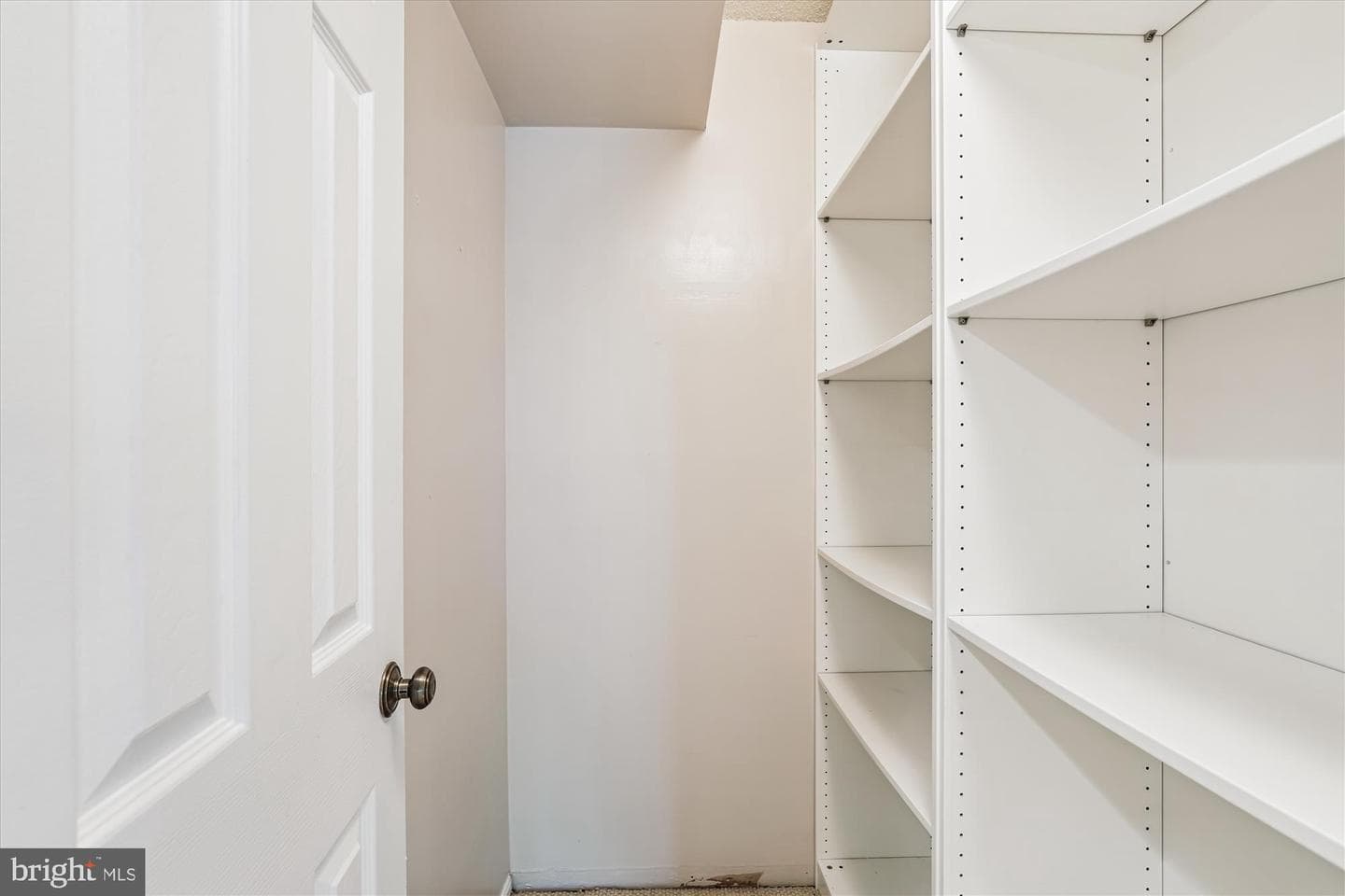 5901 Mount Eagle Drive #516 photo 33