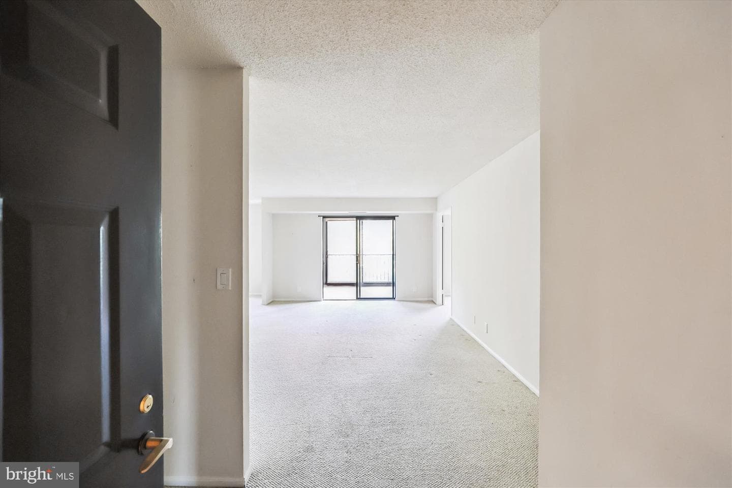 5901 Mount Eagle Drive #516 photo 7