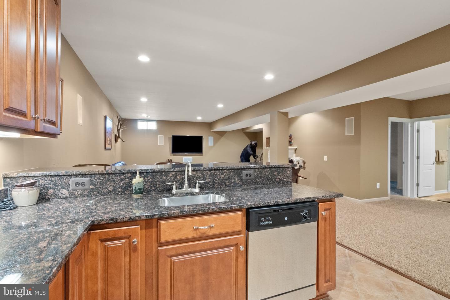 3884 Billberry Drive photo 58