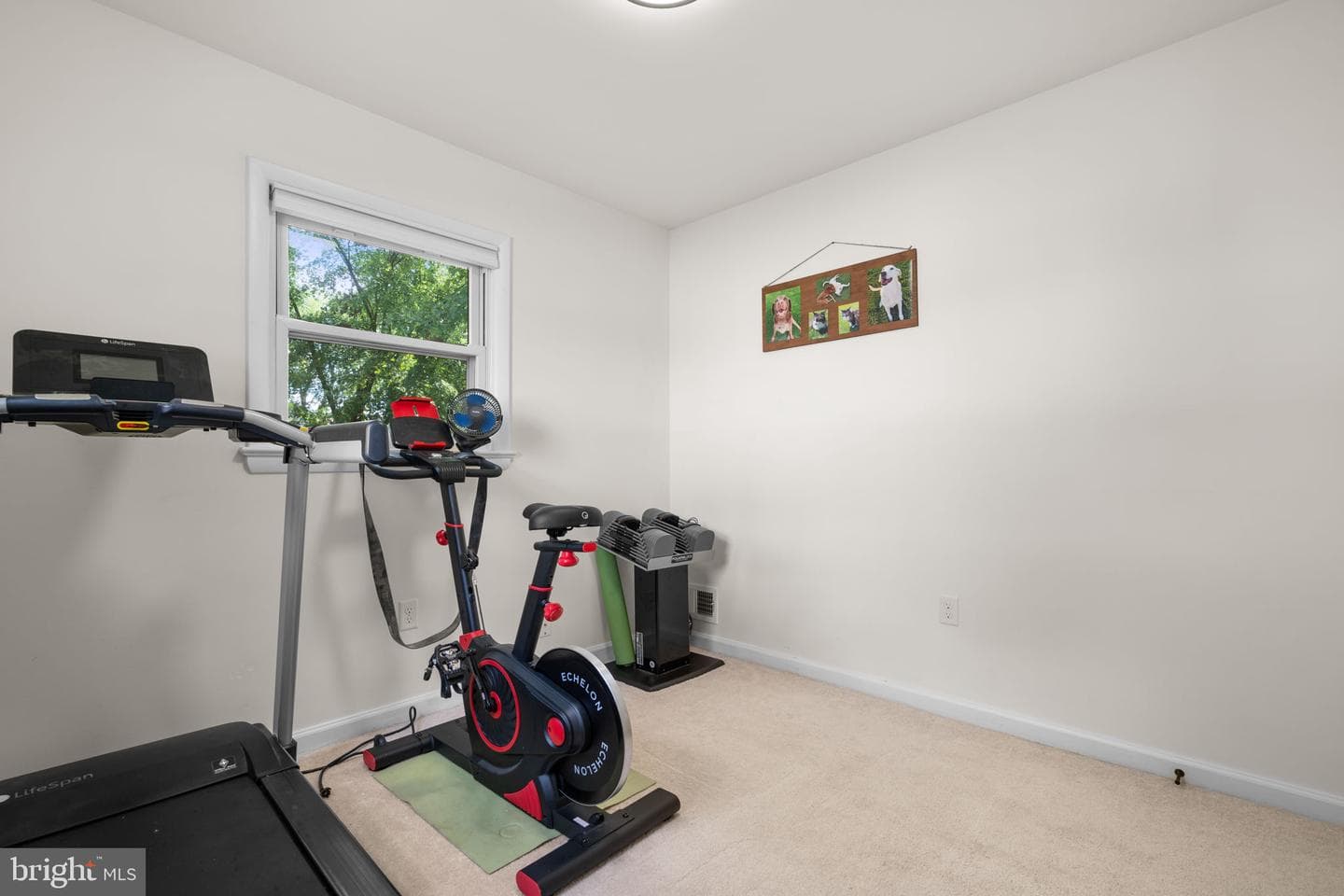 4821 Lawrence Street photo 28