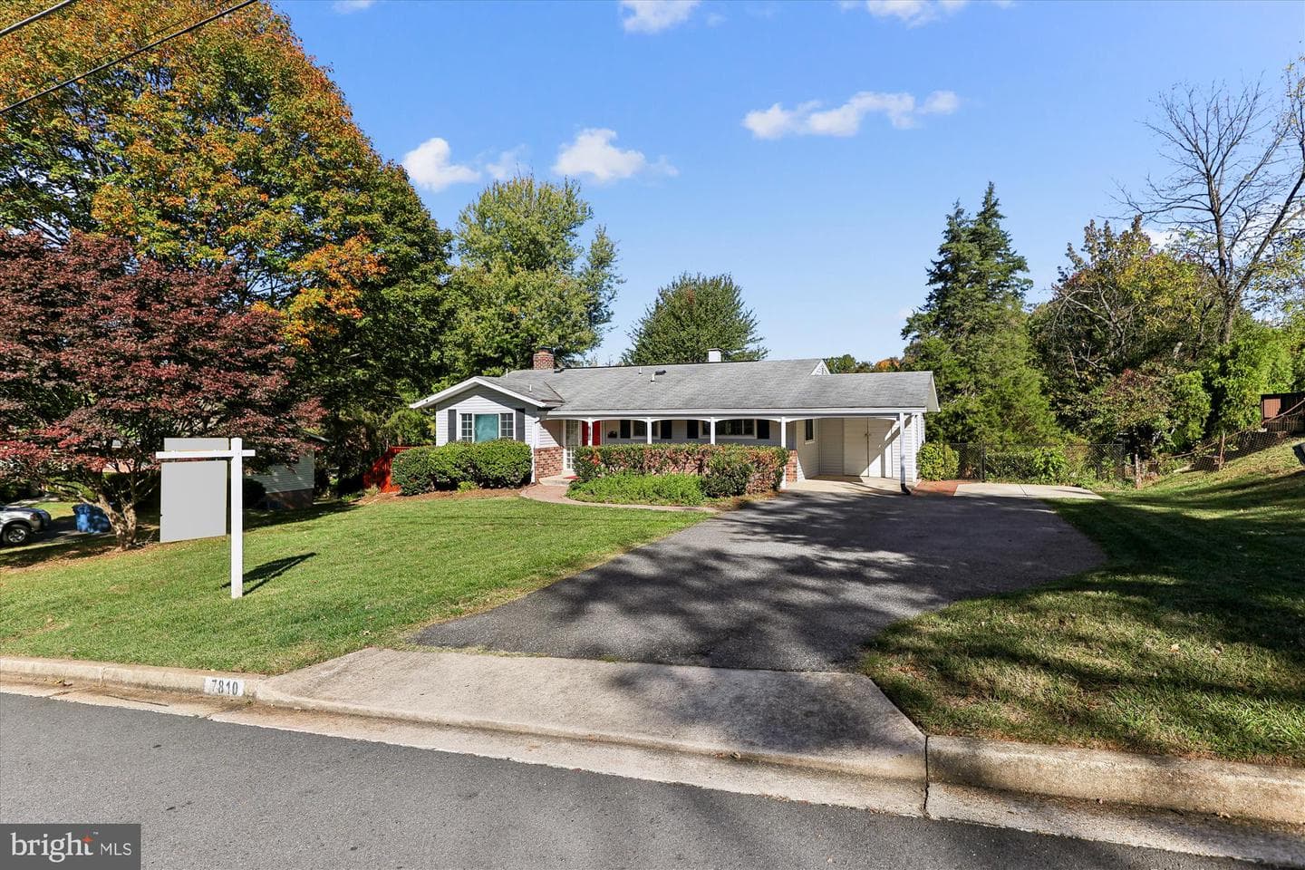 7810 College Lane photo 4