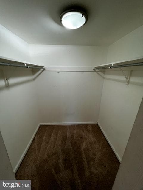 5602 Bismach Drive #204 photo 7