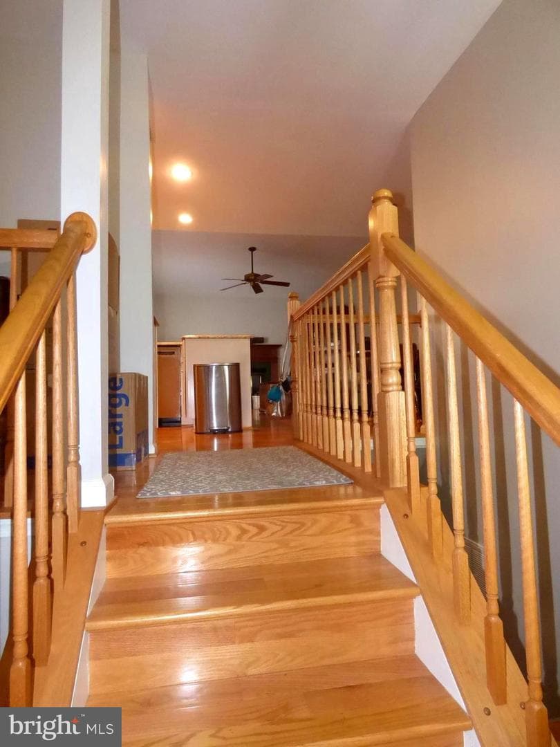 5515 Belle Pond Drive photo 8