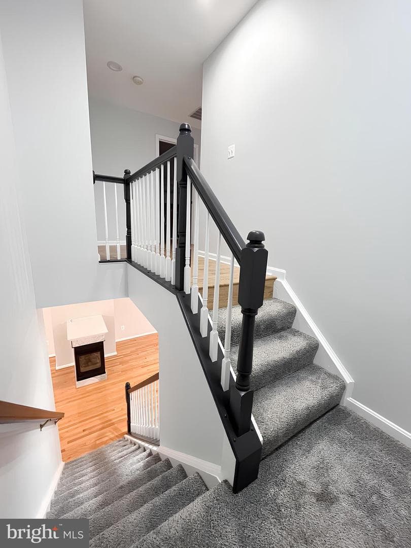 13584 Cedar Run Lane photo 21