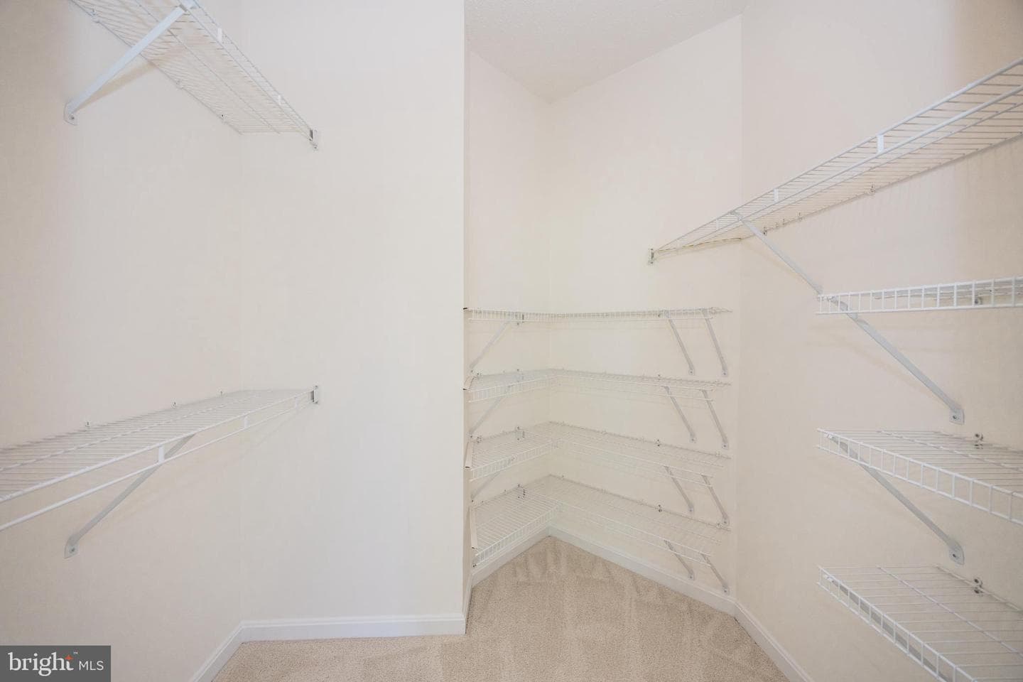 12161 Abington Hall Place #202 photo 16