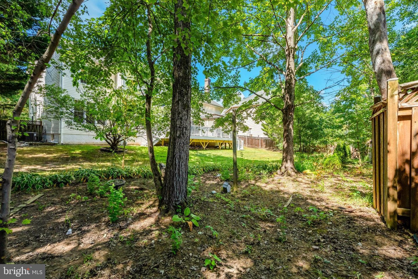 5403 Willow Forest Court photo 79