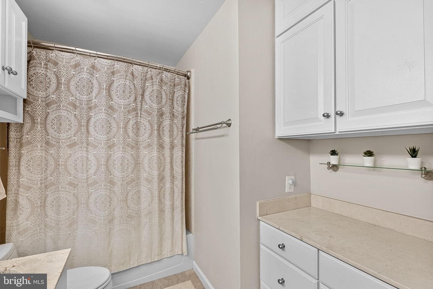 1372 Dominion Ridge Lane photo 48