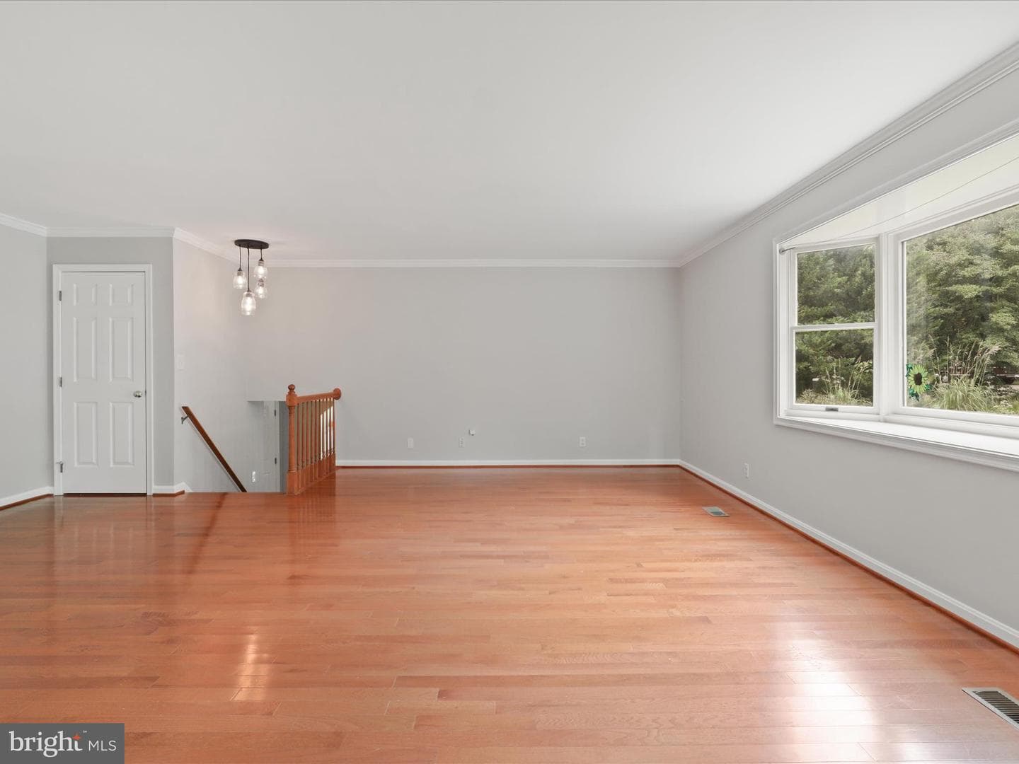 7533 Hollindale photo 36