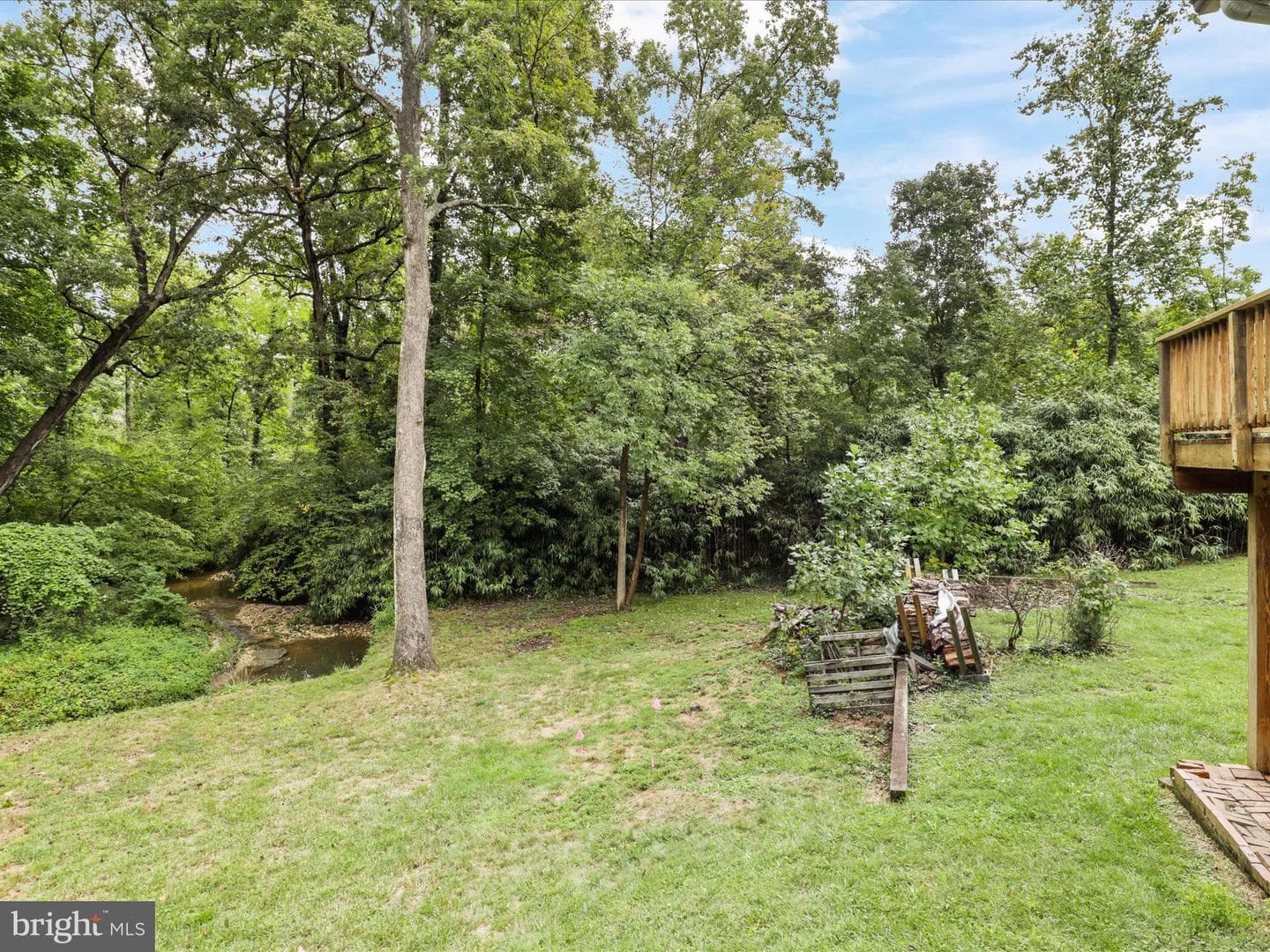 7533 Hollindale photo 60