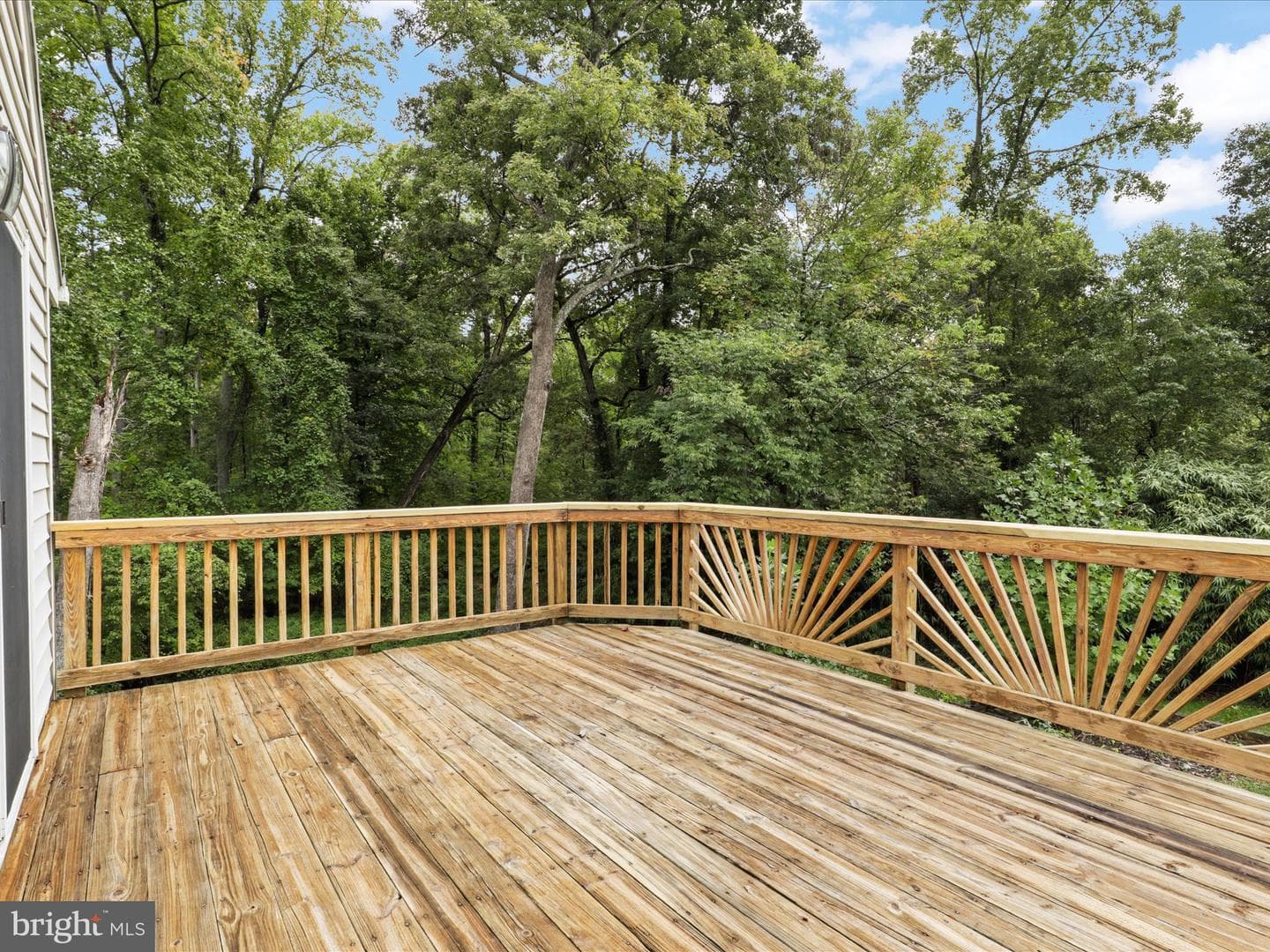 7533 Hollindale photo 63