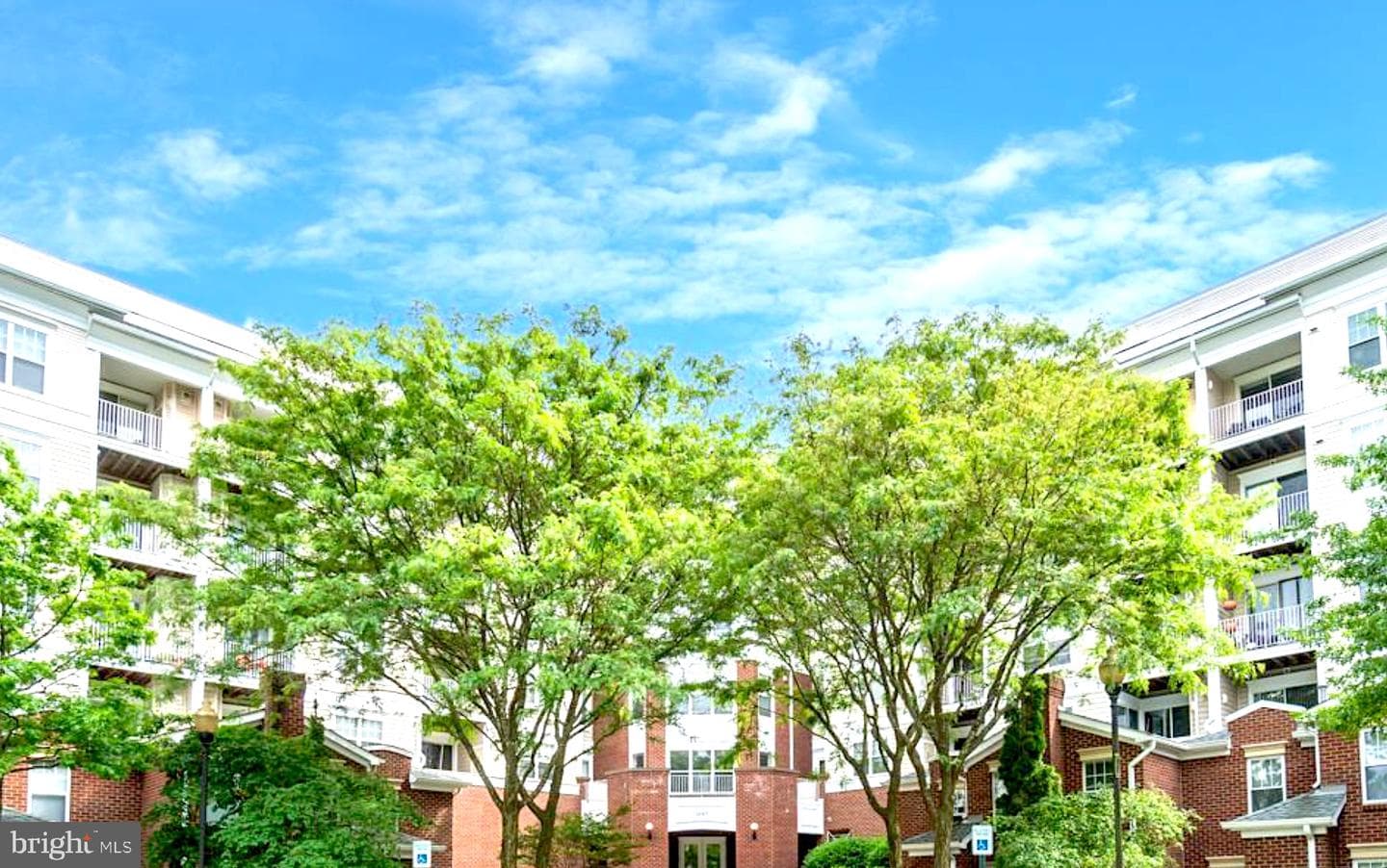 1645 International Drive #126