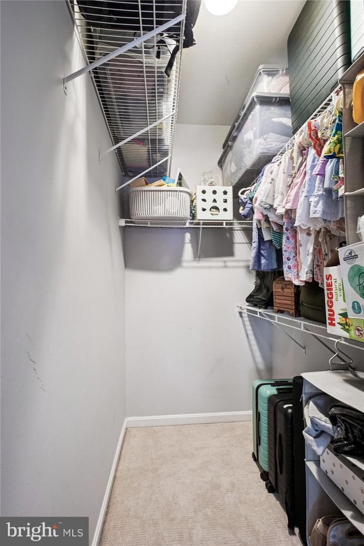 2663 Manhattan Place #310 photo 23