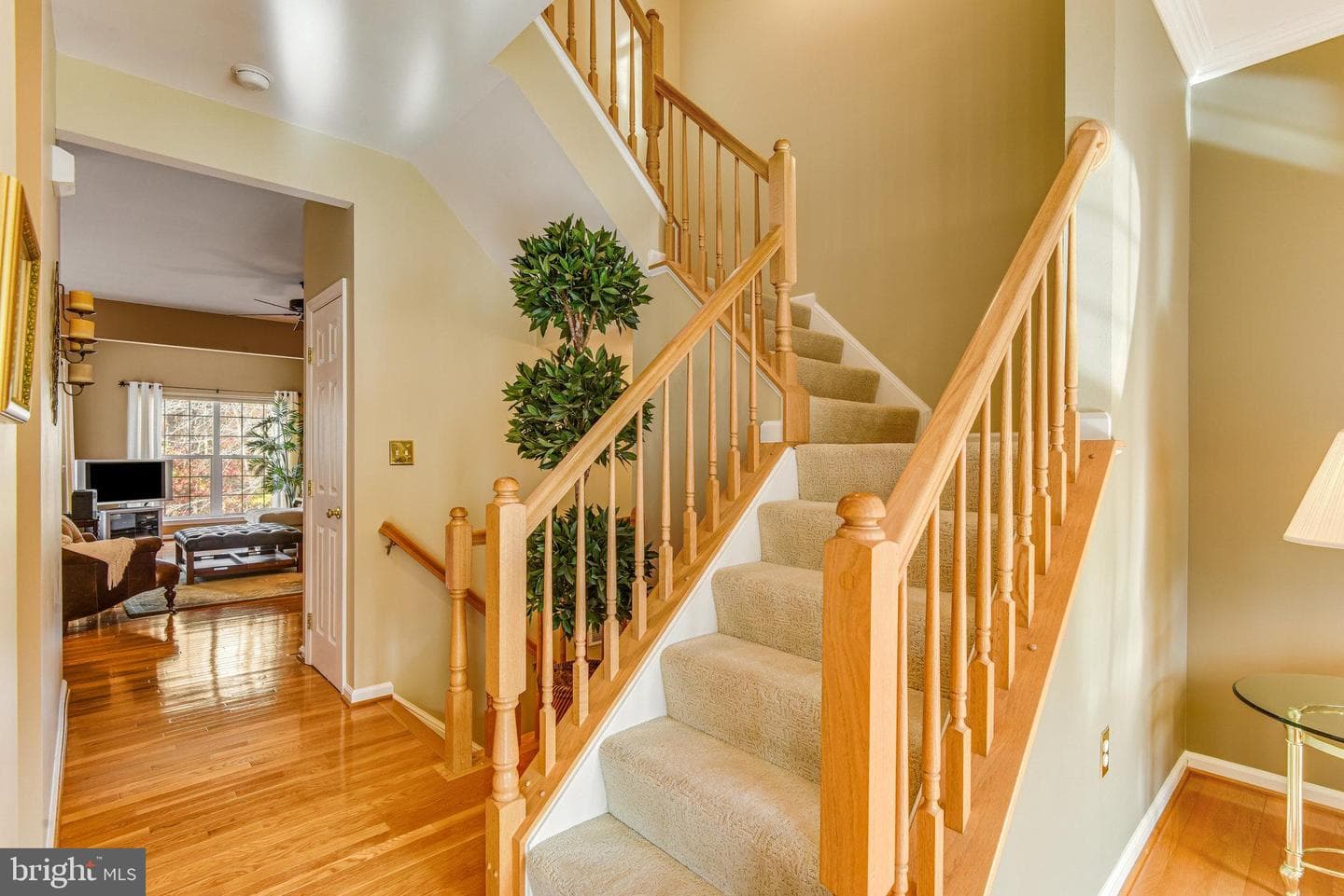 13244 Maple Creek Lane photo 12