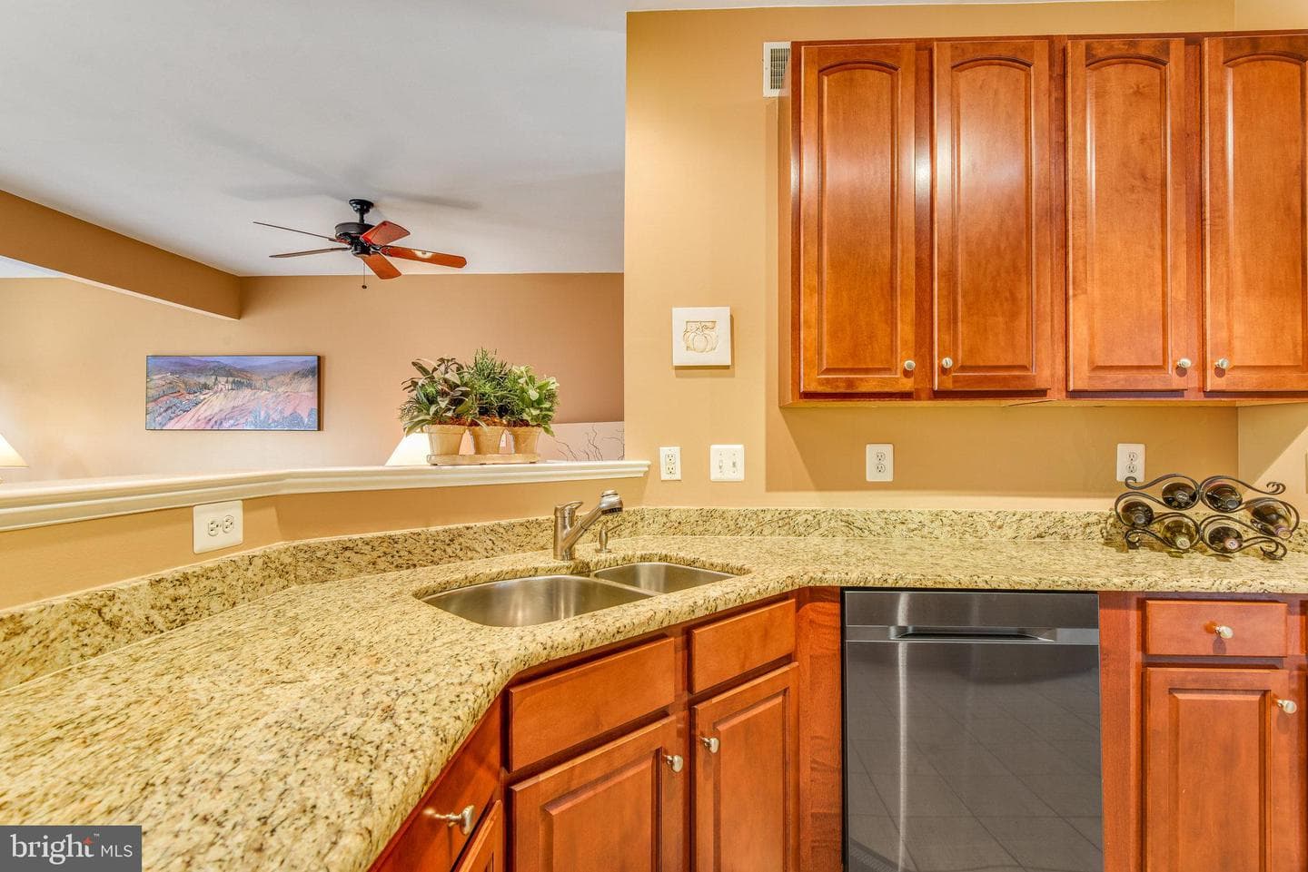 13244 Maple Creek Lane photo 20