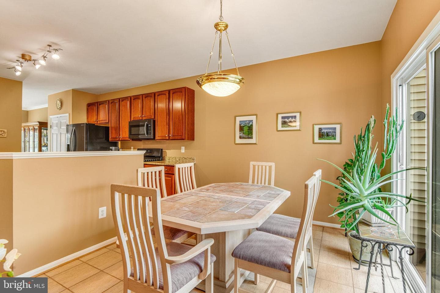 13244 Maple Creek Lane photo 22