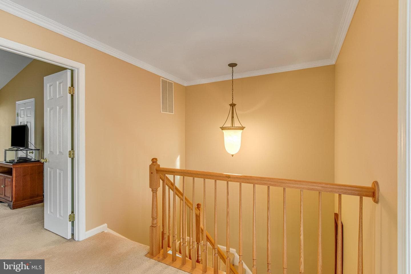 13244 Maple Creek Lane photo 30