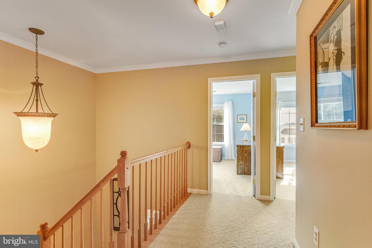 13244 Maple Creek Lane photo 37