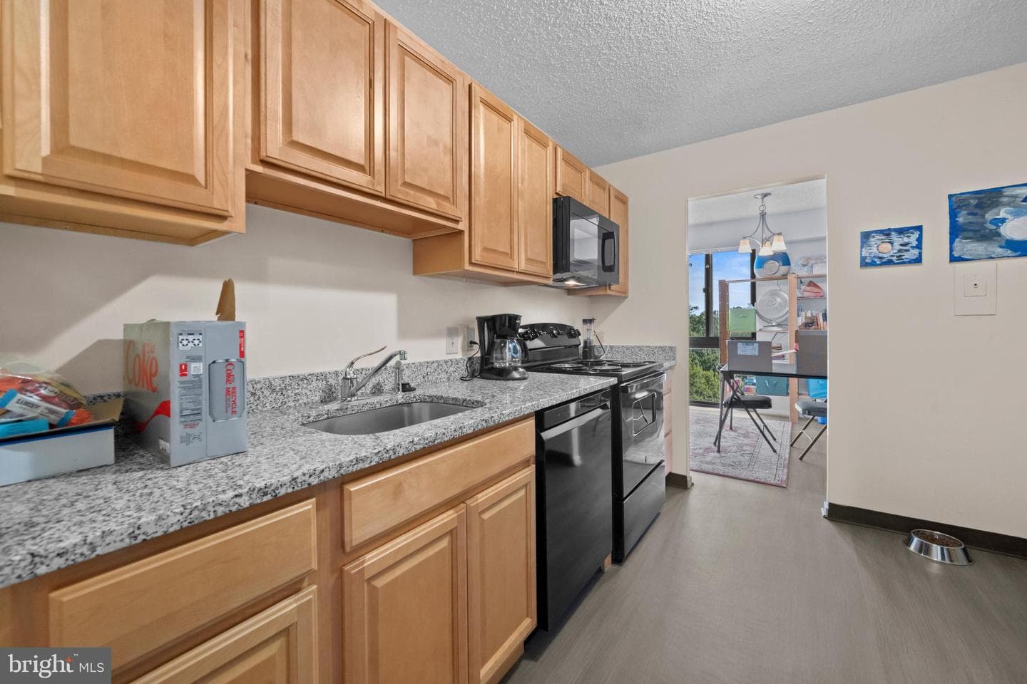 2300 Pimmit Drive #1012 photo 12