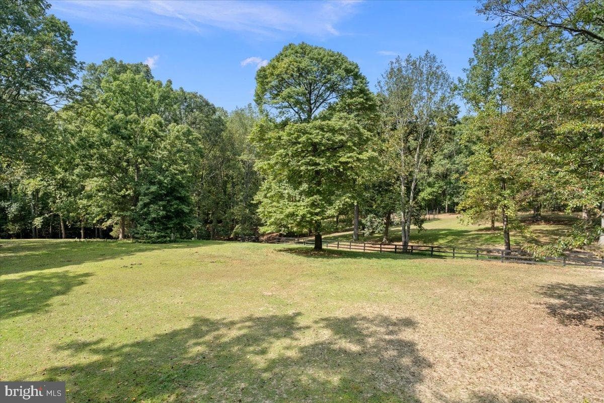 12421 Henderson Road photo 73