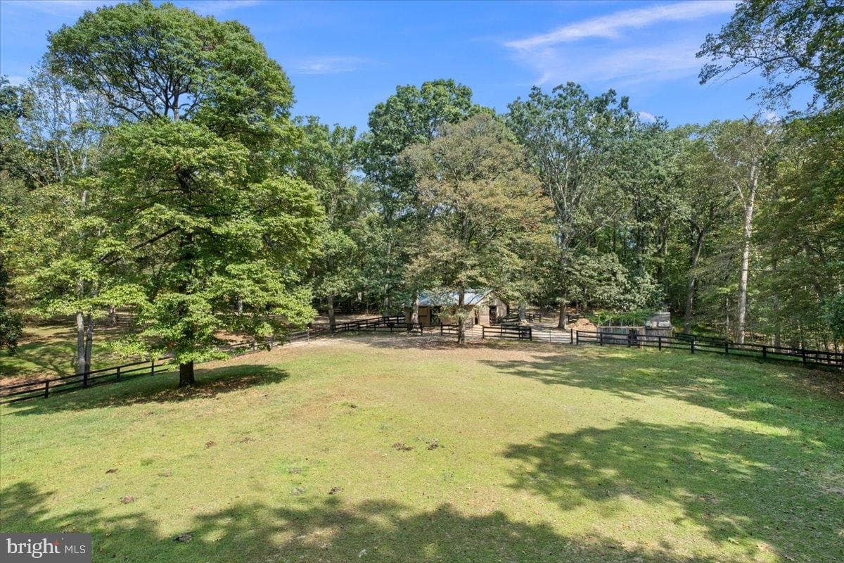 12421 Henderson Road photo 74