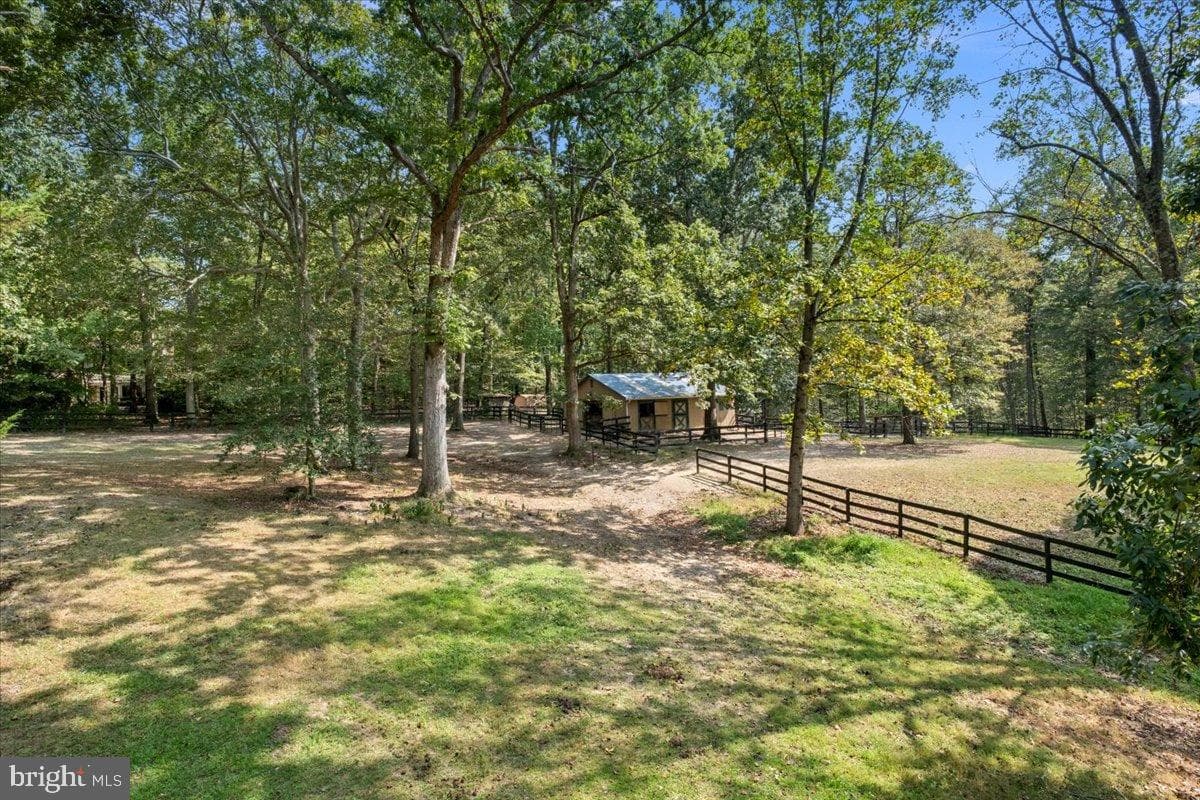 12421 Henderson Road photo 75