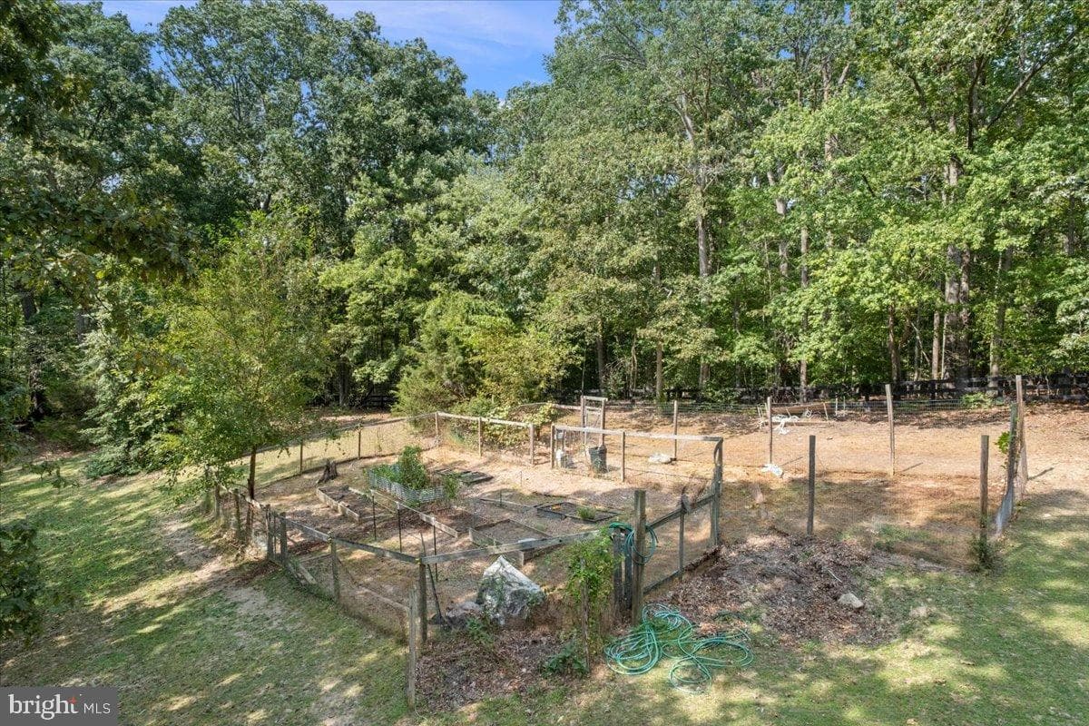 12421 Henderson Road photo 77