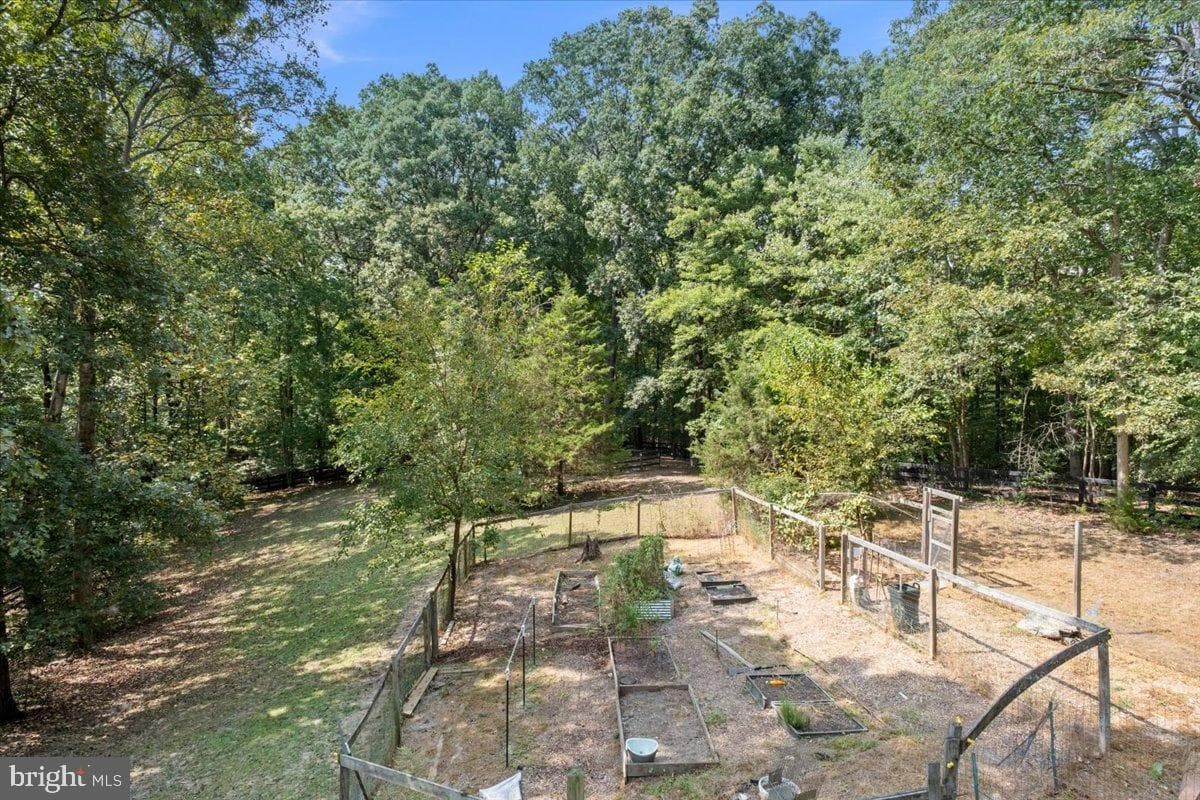 12421 Henderson Road photo 78