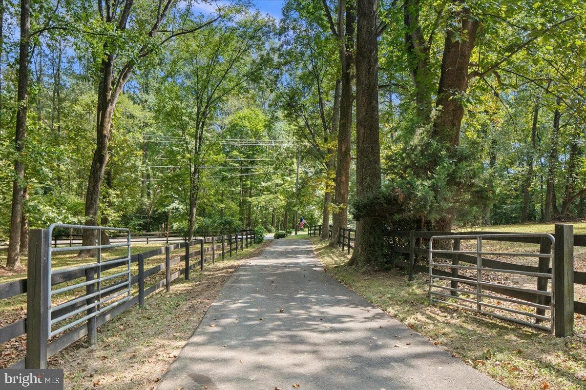12421 Henderson Road photo 79