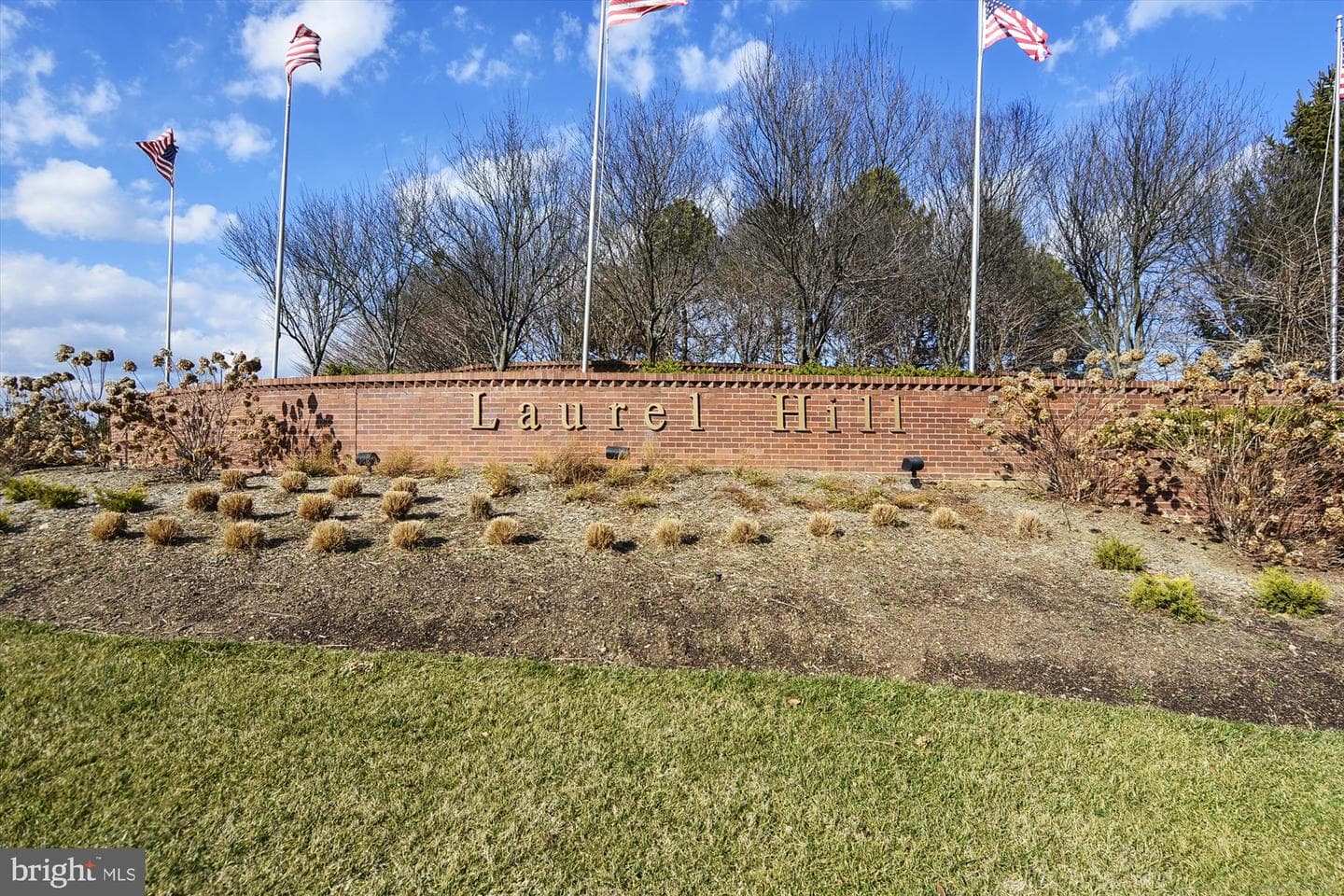8761 Flowering Dogwood Lane photo 39
