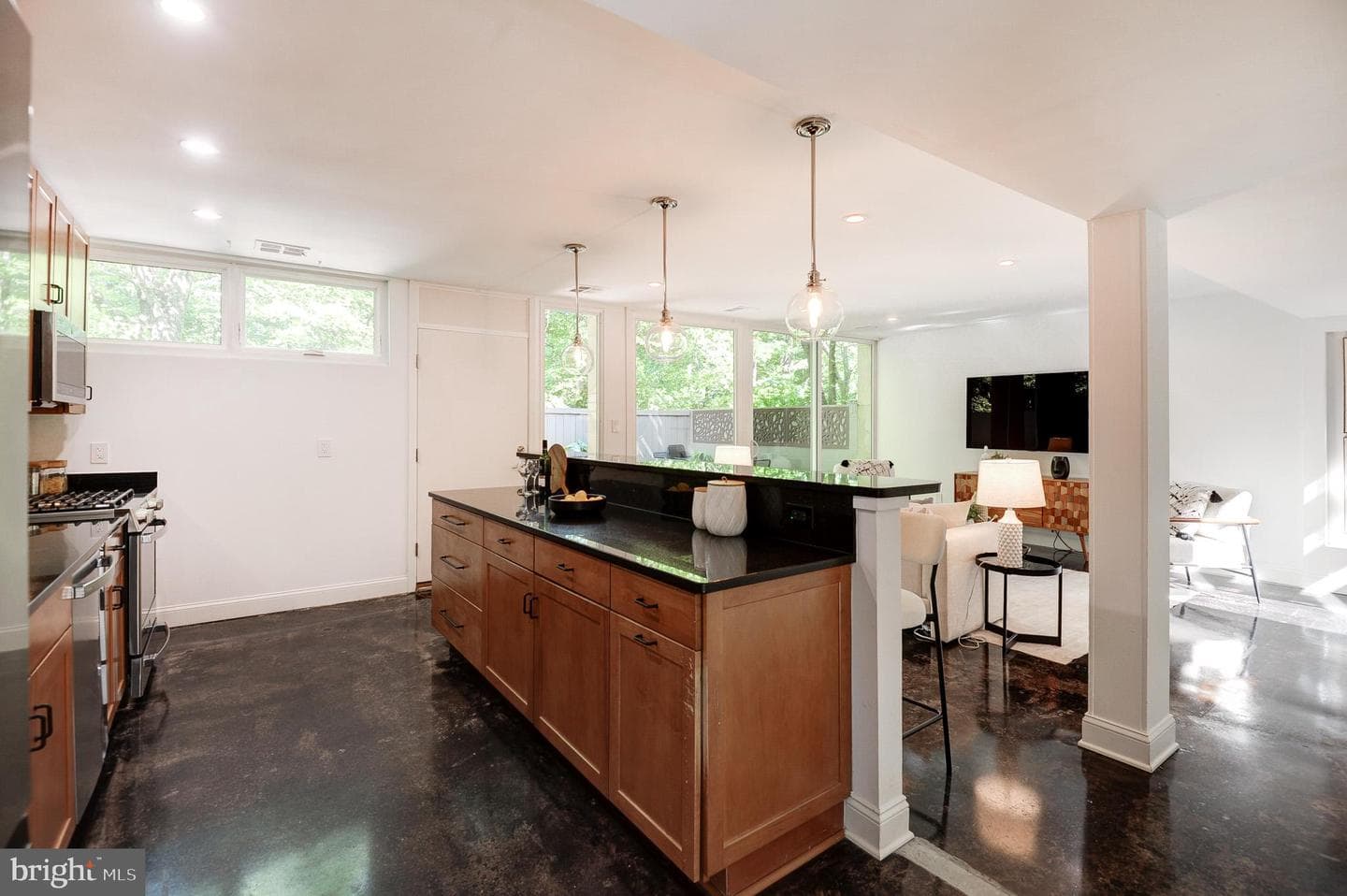 11533 Maple Ridge Road photo 9