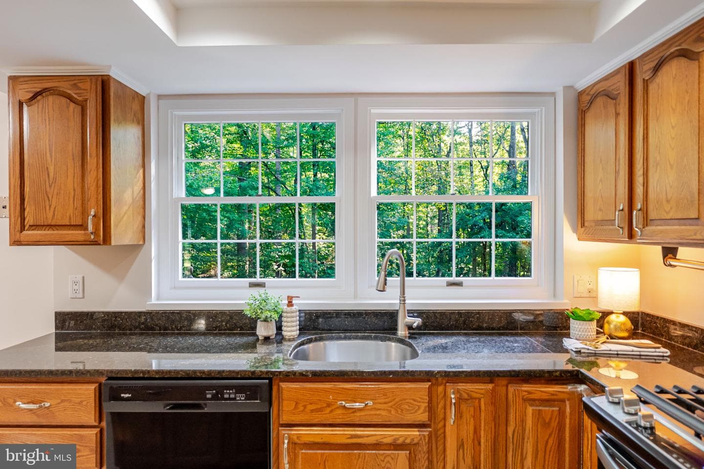 11690 Bennington Woods Road photo 22