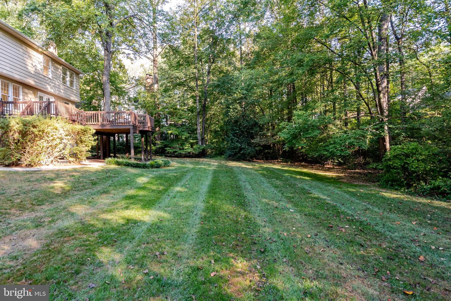 11690 Bennington Woods Road photo 59
