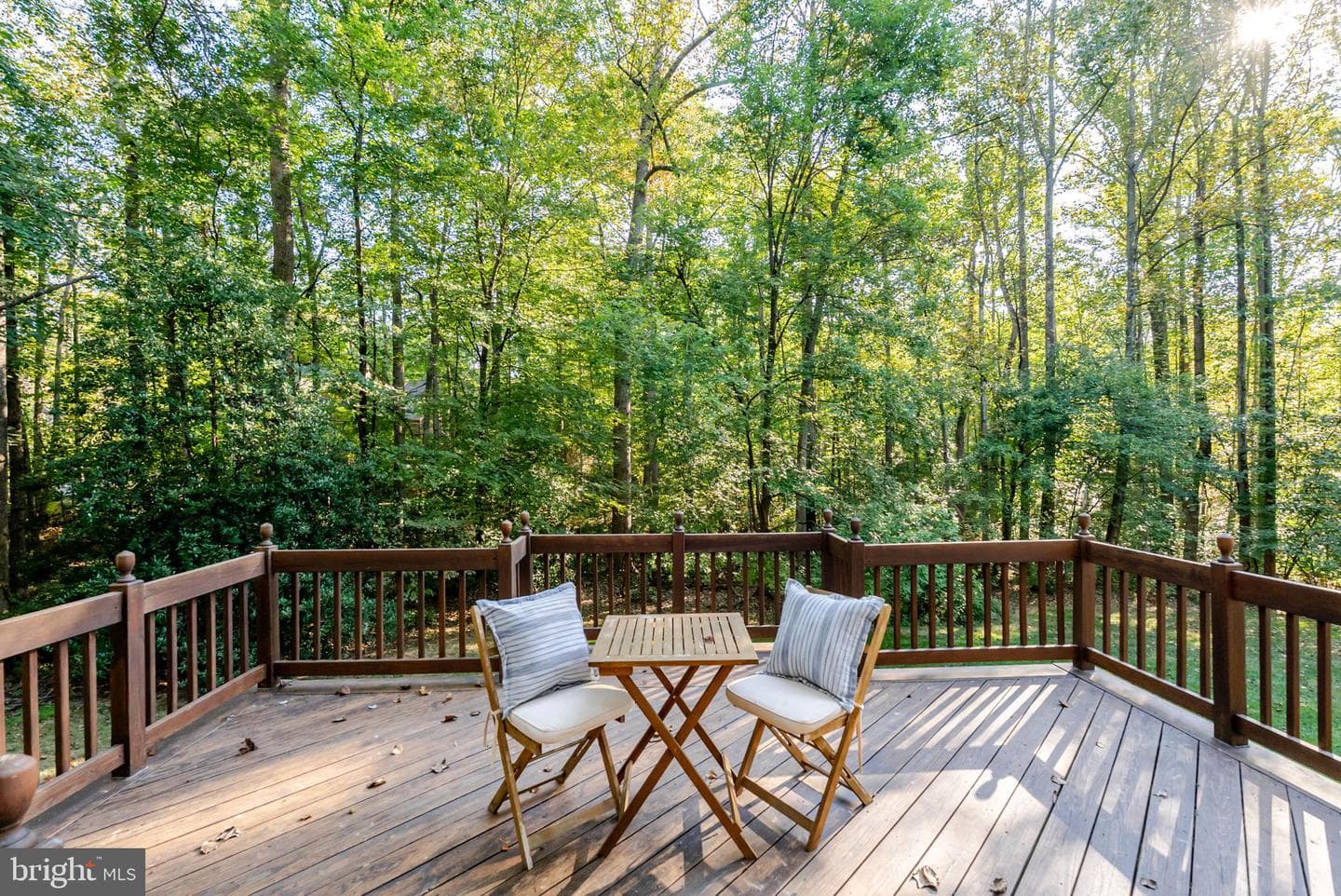 11690 Bennington Woods Road photo 61