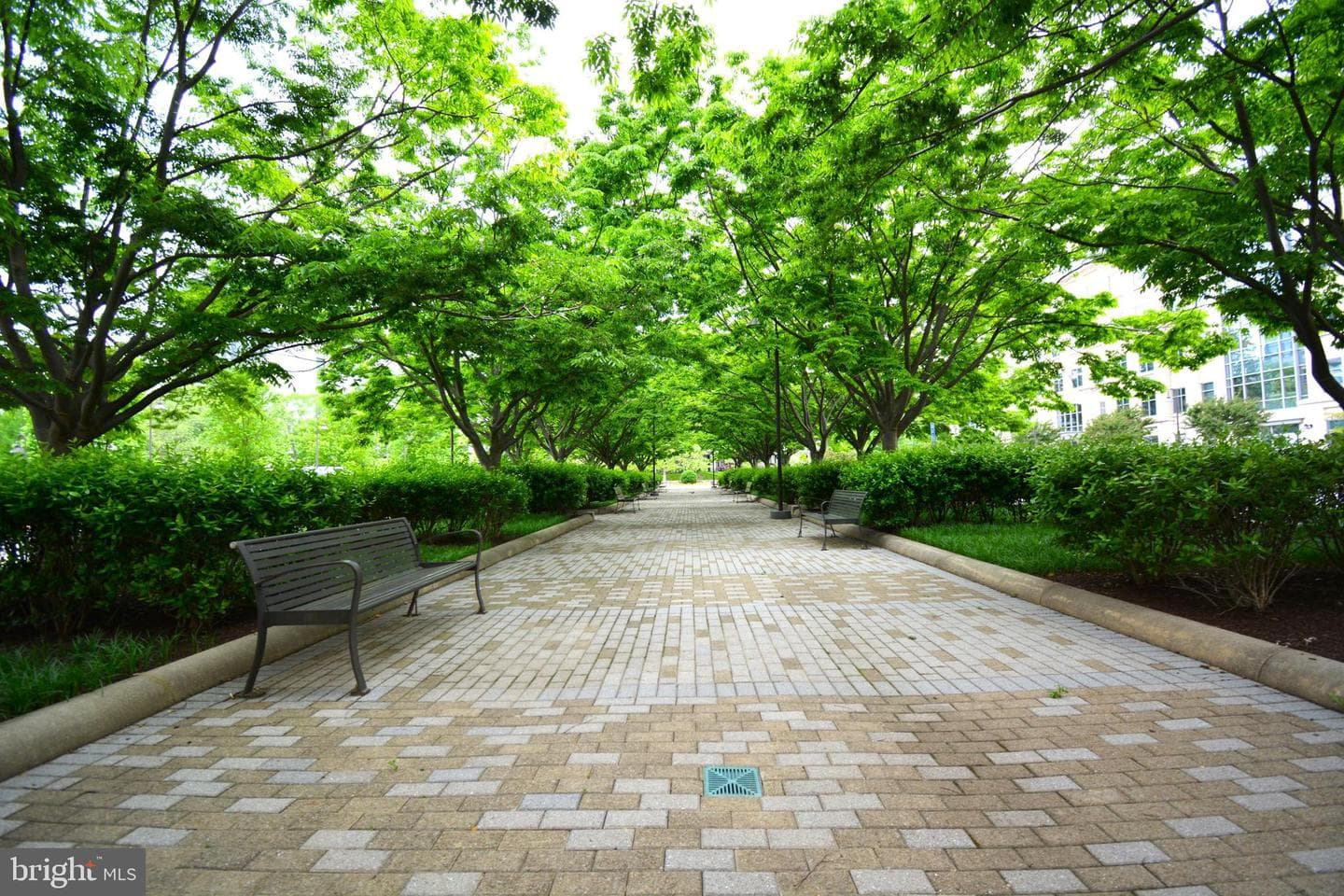 11770 Sunrise Valley Drive #120, Reston