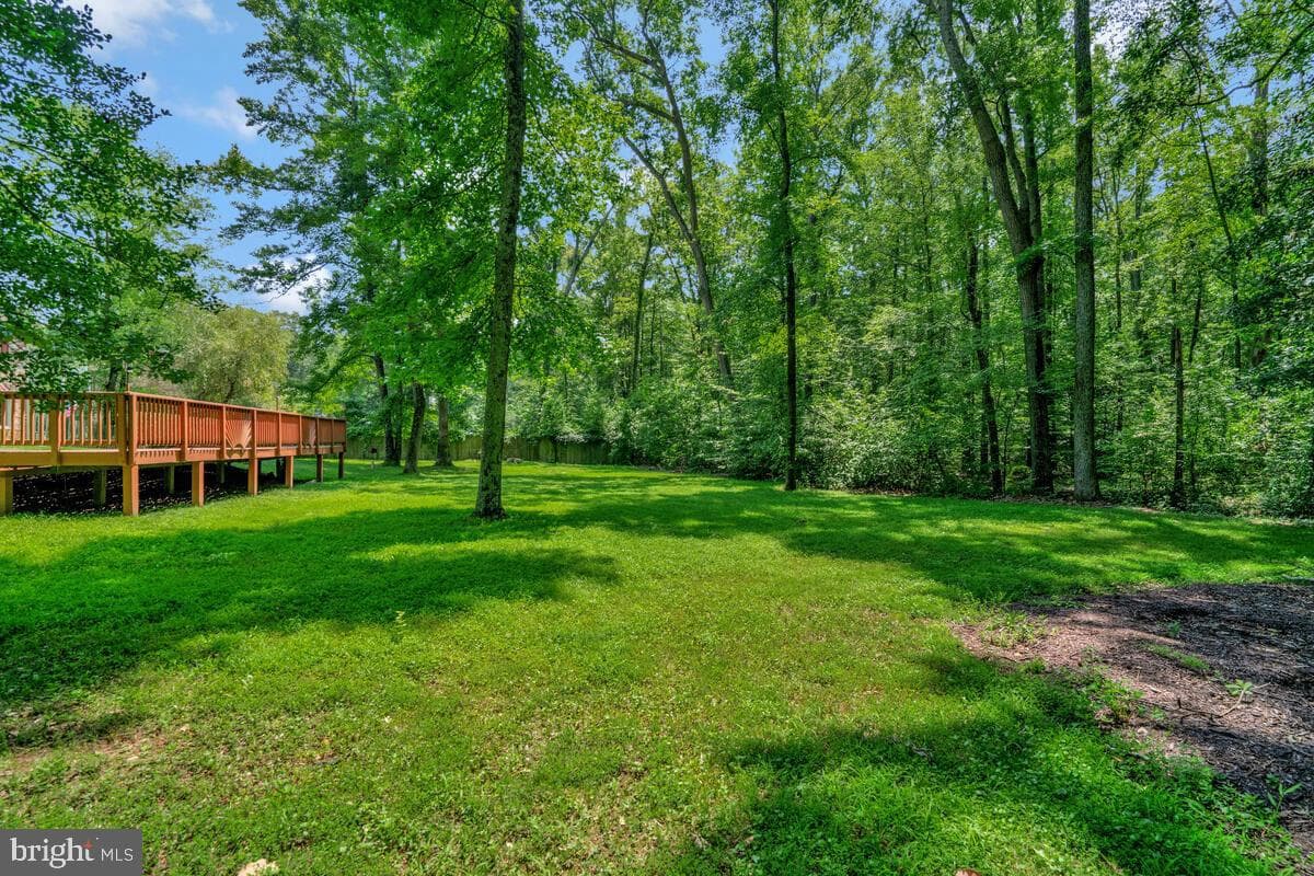 10524 Anita Drive photo 38