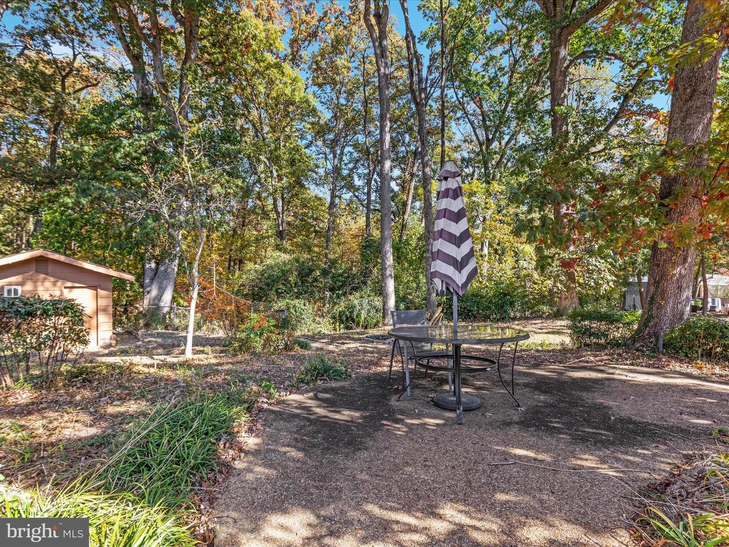 6806 Ruskin Street photo 51