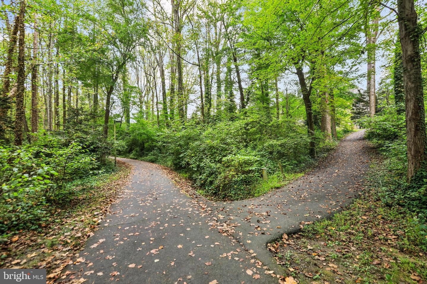 11603 Vantage Hill Road #22c photo 17