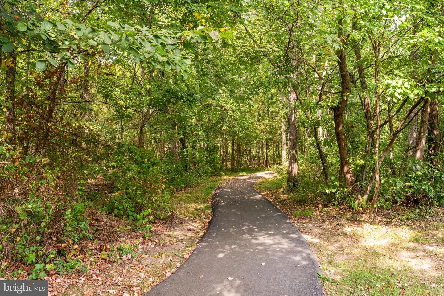 13561 Ruddy Duck Road photo 34