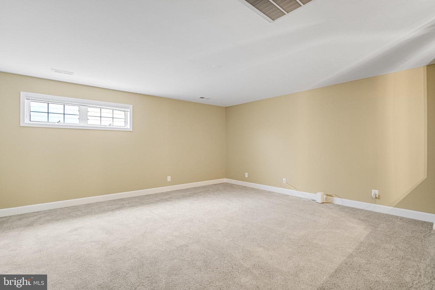 8965 Yellow Daisy Place photo 28
