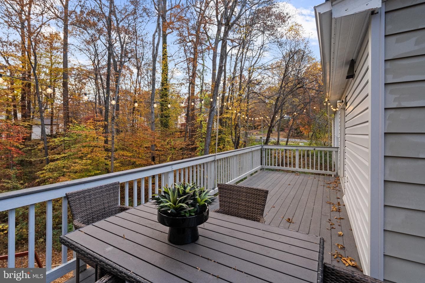 11317 Edenderry Drive photo 55