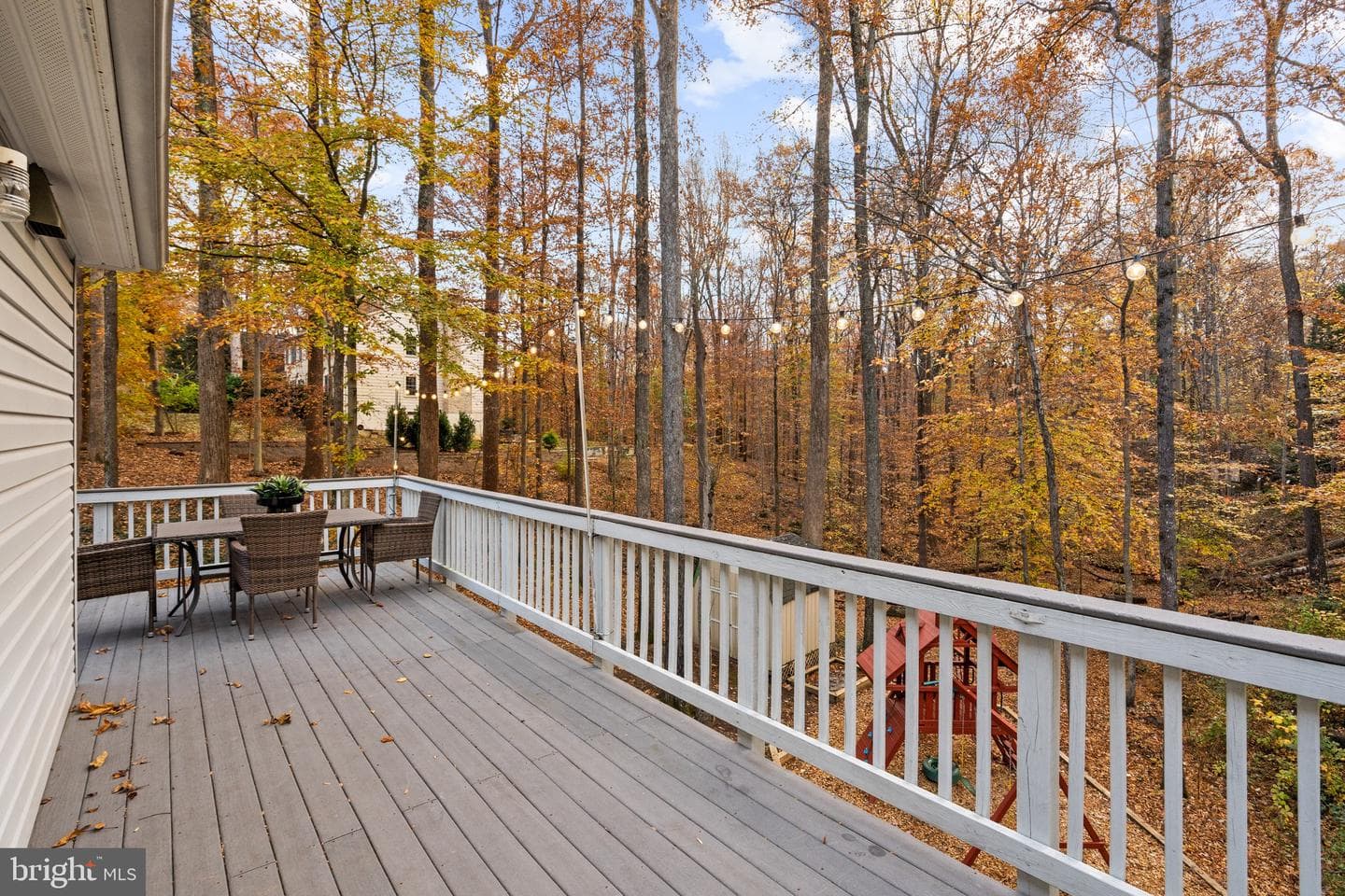 11317 Edenderry Drive photo 56